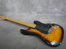 Valley Arts Custom Pro M Series_2