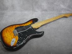 Valley Arts Custom Pro M Series_3