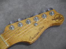 Valley Arts Custom Pro M Series_9