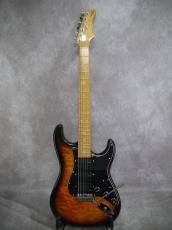 Valley Arts Custom Pro M Series_11