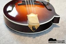 Gibson Master Model F-5 Fern (2017) マスターモデルのF-5入荷しました!ラベルにDavid Harveyのサインが入った1本!杢目も素晴らしい個体です!_13