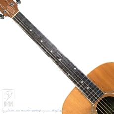 Taylor 410【48回無金利対象品】_5