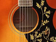 Epiphone 【日本総本店】Inspired by Gibson 1960 Hummingbird Reissue Heritage Cherry Sunburst  _5