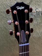 Taylor Custom 714ce -Adirondack Spruce- #1205215104 【48回迄金利0%対象】【送料当社負担】_4