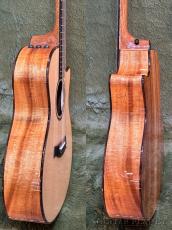 Taylor Custom 714ce -Adirondack Spruce- #1205215104 【48回迄金利0%対象】【送料当社負担】_9