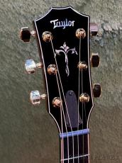 Taylor Custom 914ce Cindy -Adirondack Spruce×Indian Rosewood- # 1205215101【48回迄金利0%対象】【送料当社負担】_4