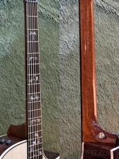 Taylor Custom 914ce Cindy -Adirondack Spruce×Indian Rosewood- # 1205215101【48回迄金利0%対象】【送料当社負担】_8