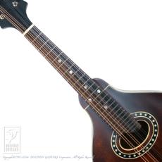 Eastman MD-304【セール開催中!36回無金利対象品】_5