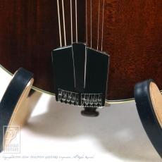 Eastman MD-304【セール開催中!36回無金利対象品】_10