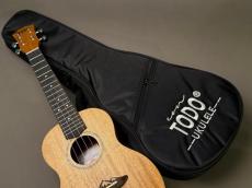 TODO MUSIC UTD-B10C Concert_9