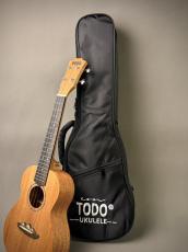 TODO MUSIC UTD-B10C Concert_12