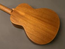 aNueNue aNN-T30 Tenor_4