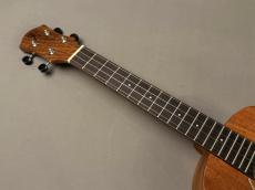 aNueNue aNN-T30 Tenor_6