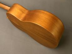 aNueNue aNN-T30 Tenor_8