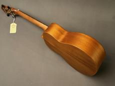 aNueNue aNN-T30 Tenor_9