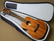 aNueNue aNN-T30 Tenor_10