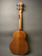 aNueNue aNN-T30 Tenor_12