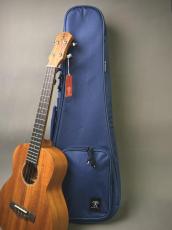 aNueNue aNN-T30 Tenor_13
