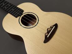 TODO MUSIC UTD-B20T Tenor_6