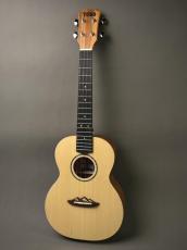 TODO MUSIC UTD-B20T Tenor_10