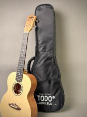 TODO MUSIC UTD-B20T Tenor_13