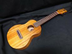 KIWAYA KPC-1K_2