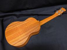 KIWAYA KPC-1K_3