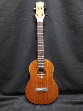 KIWAYA KPT-1M