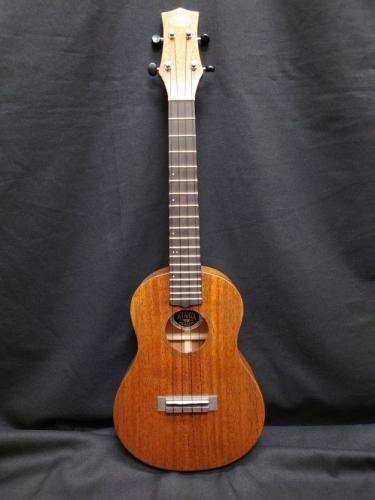 KIWAYA KPT-1M