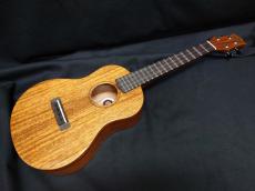 KIWAYA KPT-1M_2