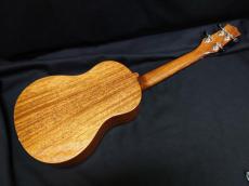 KIWAYA KPT-1M_3
