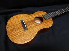 KIWAYA KPT-1M_4
