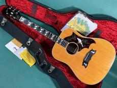 Gibson  DOVE NT