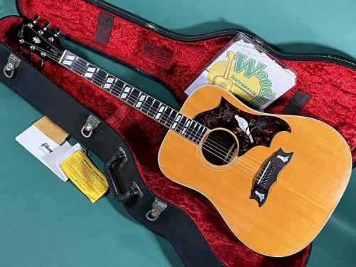 Gibson  DOVE NT