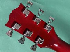 Gibson  DOVE NT_6