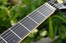 Mosrite The Ventures Model V-64_6