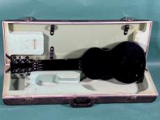 Rickenbacker MODEL59 REF BLK_2
