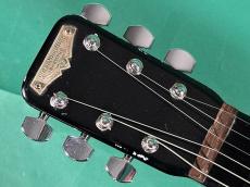 Rickenbacker MODEL59 REF BLK_5