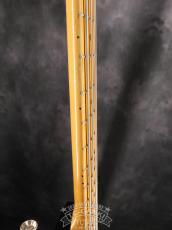 MUSIC MAN 1981 StingRay_14