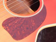 Gibson B-25 3/4_7