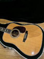 Martin D-45_2