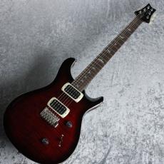 Paul Reed Smith [PRS] SE Custom 24 ~Fire Red Burst~ #CTI H080856 [3.45kg][2025年製]_9