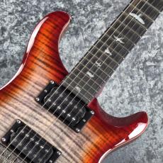Paul Reed Smith [PRS] SE CUSTOM 24 "FLOYD" ~Charcoal Cherry Burst~ #CTI G069231 [3.71kg][2024年製]_2