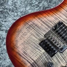 Paul Reed Smith [PRS] SE CUSTOM 24 "FLOYD" ~Charcoal Cherry Burst~ #CTI G069231 [3.71kg][2024年製]_3