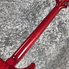 Paul Reed Smith [PRS] SE CUSTOM 24 "FLOYD" ~Charcoal Cherry Burst~ #CTI G069231 [3.71kg][2024年製]_8