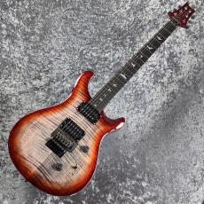 Paul Reed Smith [PRS] SE CUSTOM 24 "FLOYD" ~Charcoal Cherry Burst~ #CTI G069231 [3.71kg][2024年製]_10