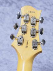 FREEDOM CUSTOM GUITAR RESEARCH RRS BRAVERY N.C Lacquer ~ Gold Polar Star ~ 2016年製  [約3.38㎏]_7