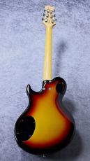 FREEDOM CUSTOM GUITAR RESEARCH RRS BRAVERY N.C Lacquer ~ Gold Polar Star ~ 2016年製  [約3.38㎏]_10