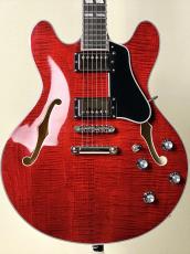 Eastman 【ハイコストパフォーマンスなセミアコ!!】【良杢目個体!!】T-486 -Classic-