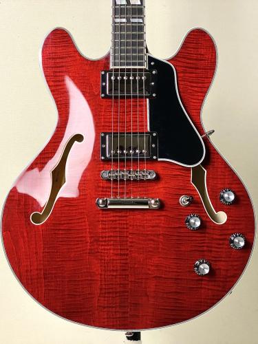 Eastman 【ハイコストパフォーマンスなセミアコ!!】【良杢目個体!!】T-486 -Classic-